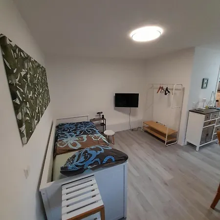 Am Palmenhaus Apartment Bad Schonborn