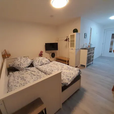 Am Palmenhaus Apartmán Bad Schonborn
