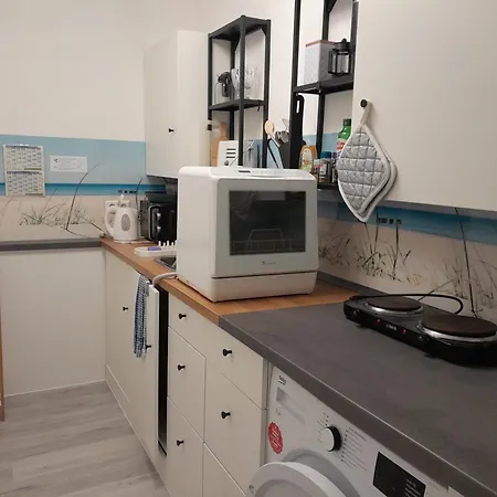 Am Palmenhaus * 巴特什博