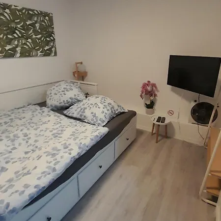 Am Palmenhaus Apartmán *